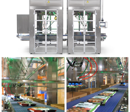 dual cell pick and place packaging machine for pouches